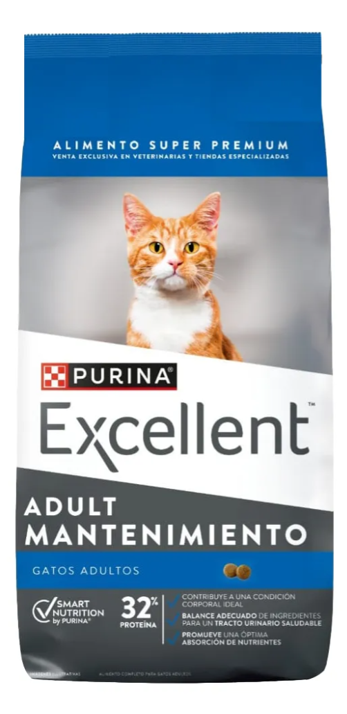 gato viejo